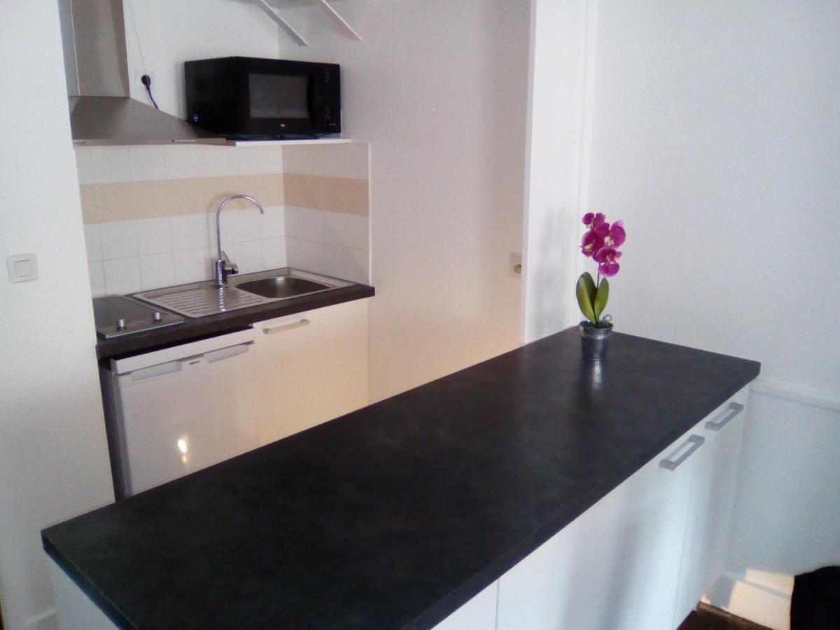 Studio Double 31 Centre De Limoges Wifi Luaran gambar
