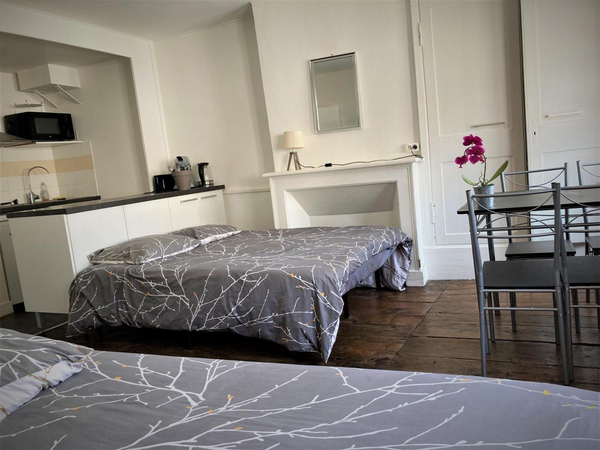 Studio Double 31 Centre De Limoges Wifi Luaran gambar