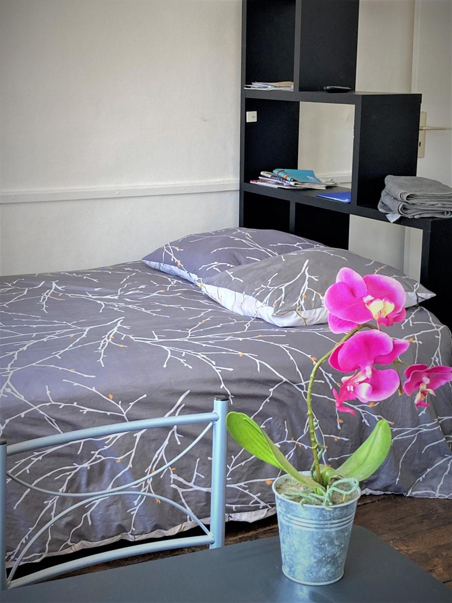 Studio Double 31 Centre De Limoges Wifi Luaran gambar